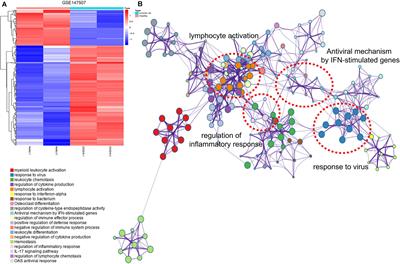 Frontiers | The Landscape Of Coronavirus Disease 2019 (COVID-19) And ...